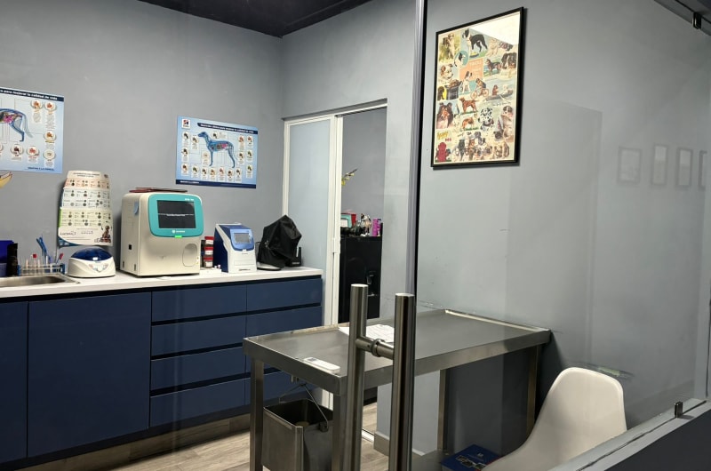 Nesvet Núcleo de Especialidades Veterinarias — photo 2