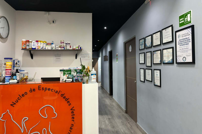 Nesvet Núcleo de Especialidades Veterinarias — photo 3