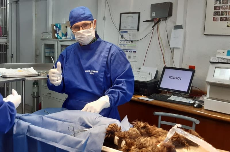 Hospital Veterinario Orejas — photo 1
