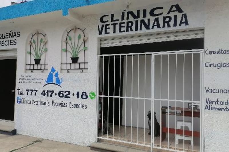 Clínica veterinaria pequeñas especies — photo 1