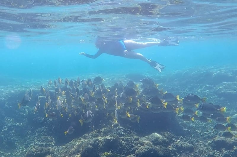 Zona de snorkel — photo 1
