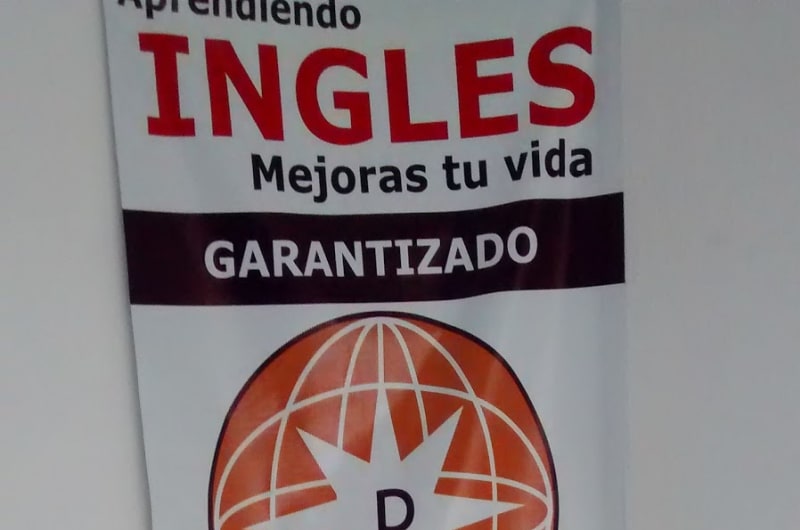 Golden English — photo 3
