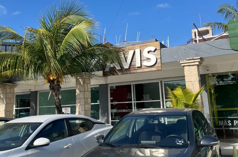 Avis — photo 1