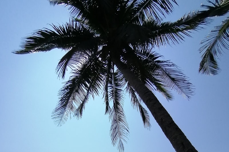 Playa Aguete — photo 3
