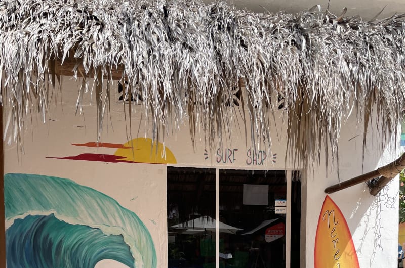 Nereidas Surf Shop Zipolite — photo 1