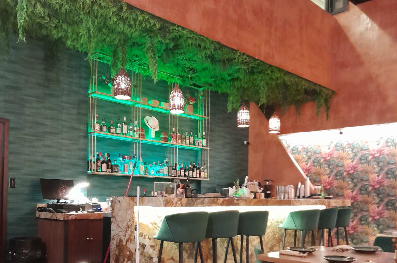 Luuch Cocina Yucateca Contemporánea — photo 1