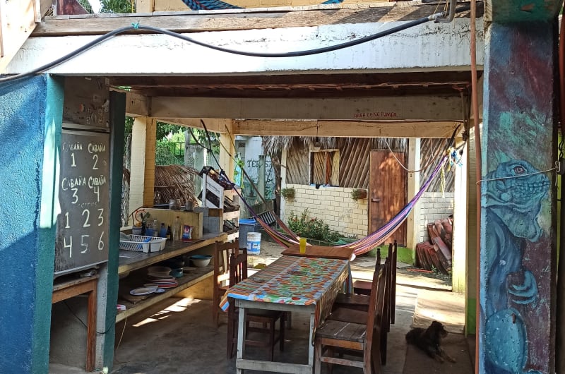 El Carrizo — photo 1
