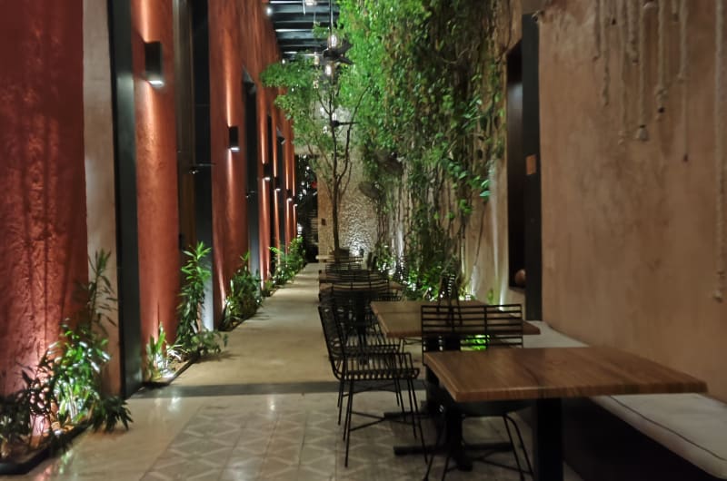Hacienda Teya Restaurant — photo 2