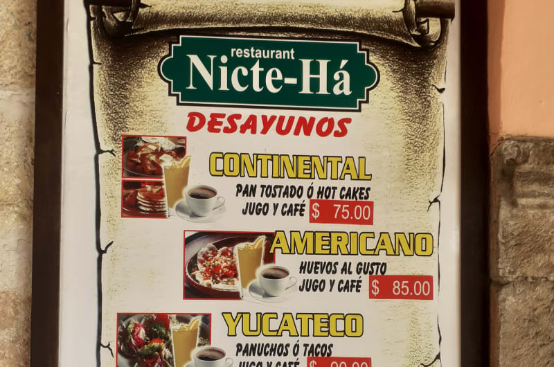 Nicte-Ha — photo 3