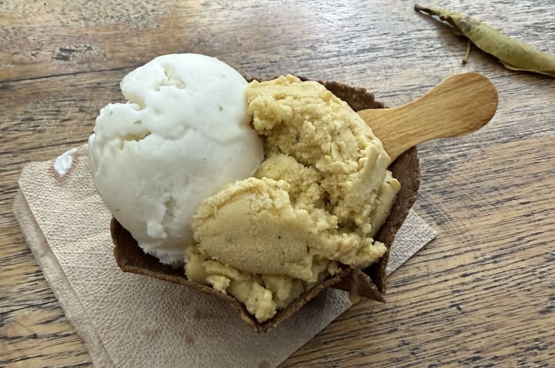 Cocomiel Vegan Ice Cream — photo 2