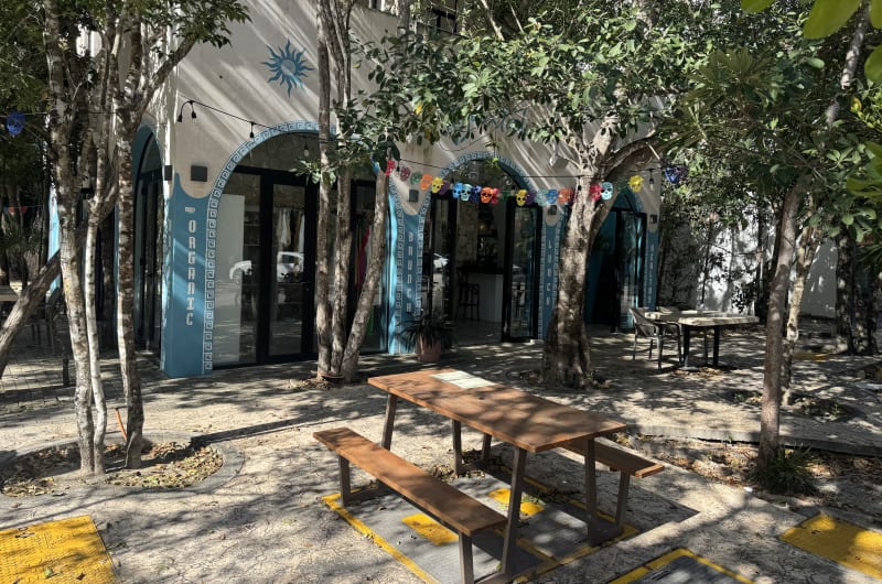 Kuxtal Organic café — photo 3