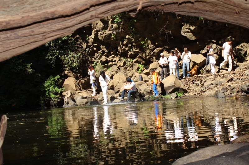 Cascada Amatlán de Quetzalcóatl — photo 3