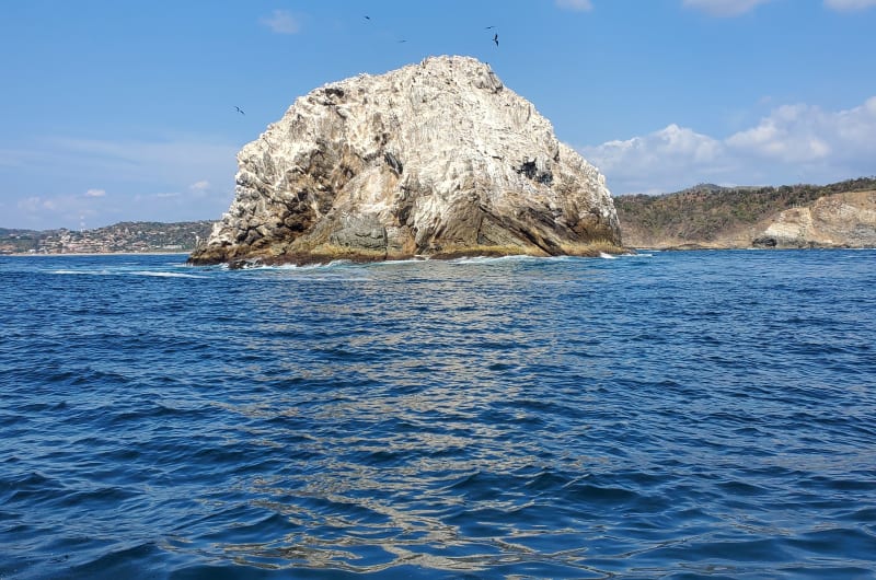 Wicho Surf & Mauri Tours — photo 3
