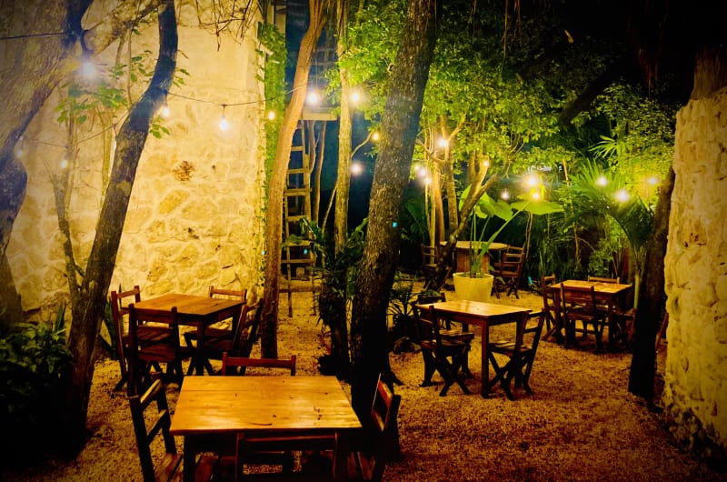 Jungle Jax Tulum — photo 3