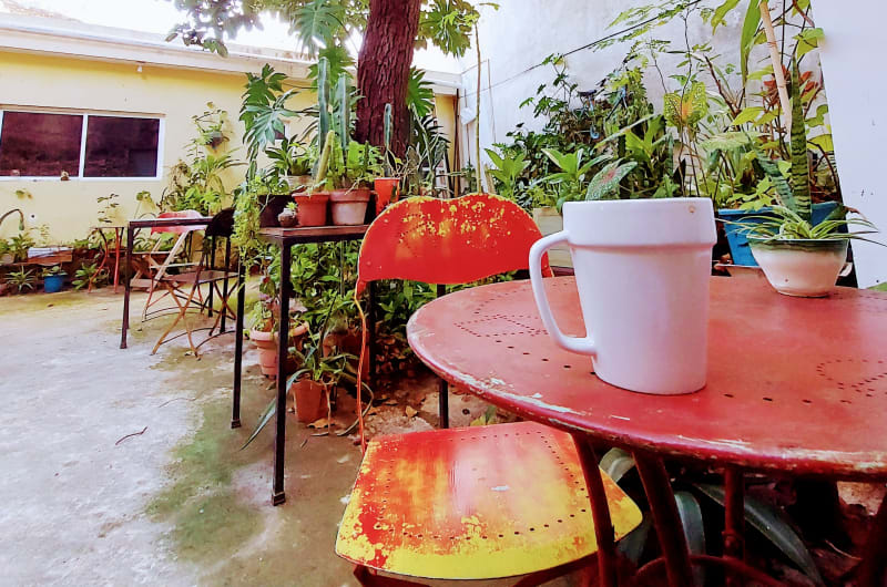 Orgánico Bar de Café & Cocina — photo 3