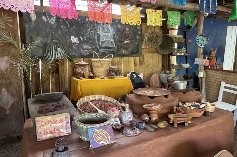 Vallarta Adventures | Terminal Marítima — photo 2