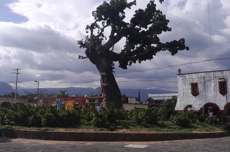 Quiosco De Tlayacapan — photo 2