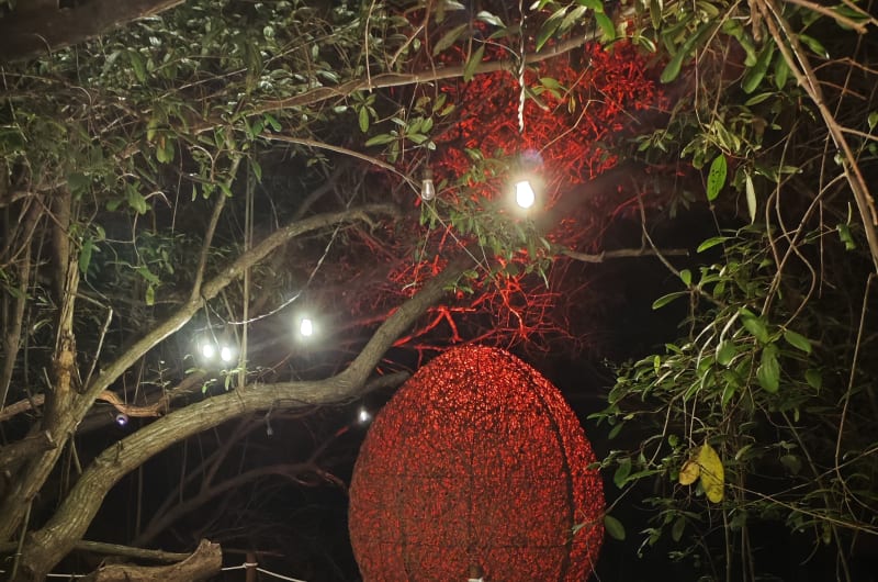 Bonbonniere Tulum — photo 2