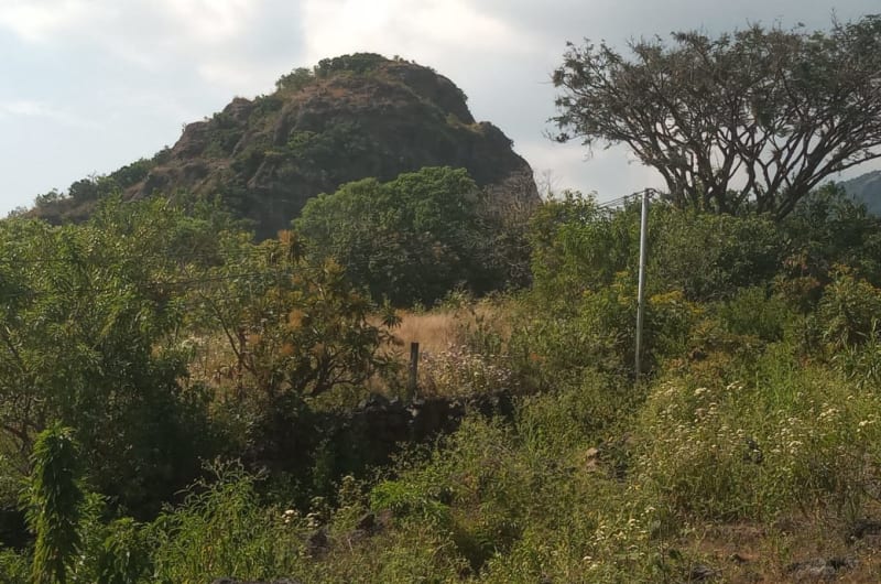 Casas De Fin De Semana Tepoztlan Y Venta Terrenos — photo 1