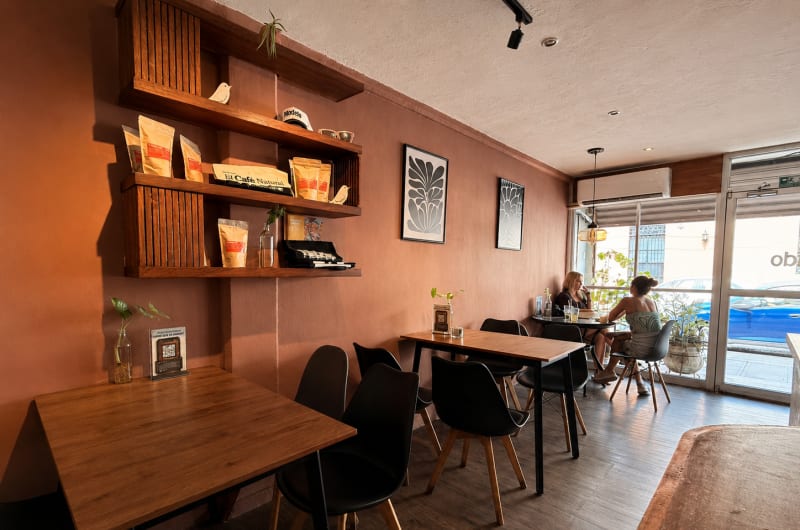 Nitido — photo 3