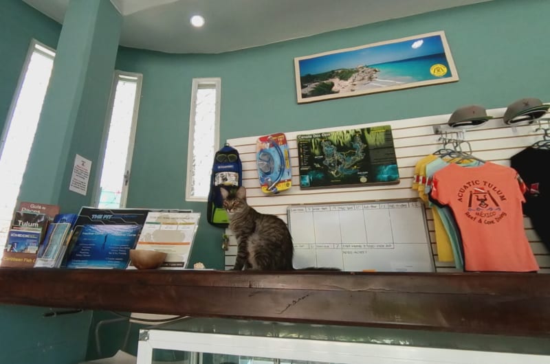 Acuatic Tulum Dive Center — photo 3