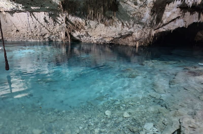 Nativo Tulum Transfer and Tours — photo 2