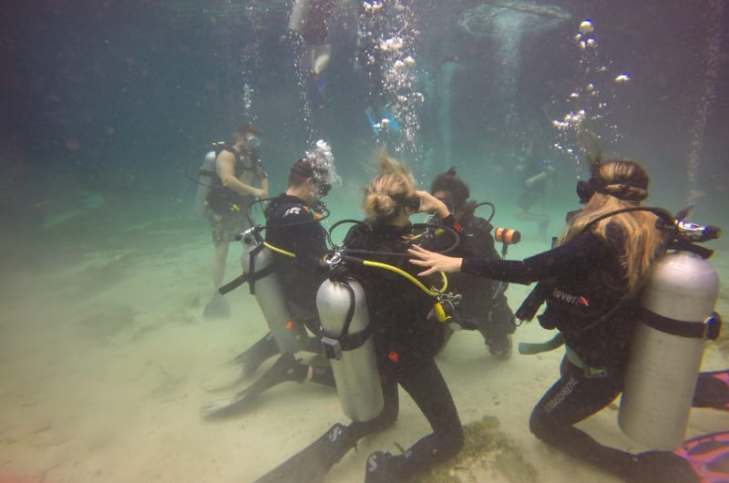 Nativo Tulum Transfer and Tours — photo 3