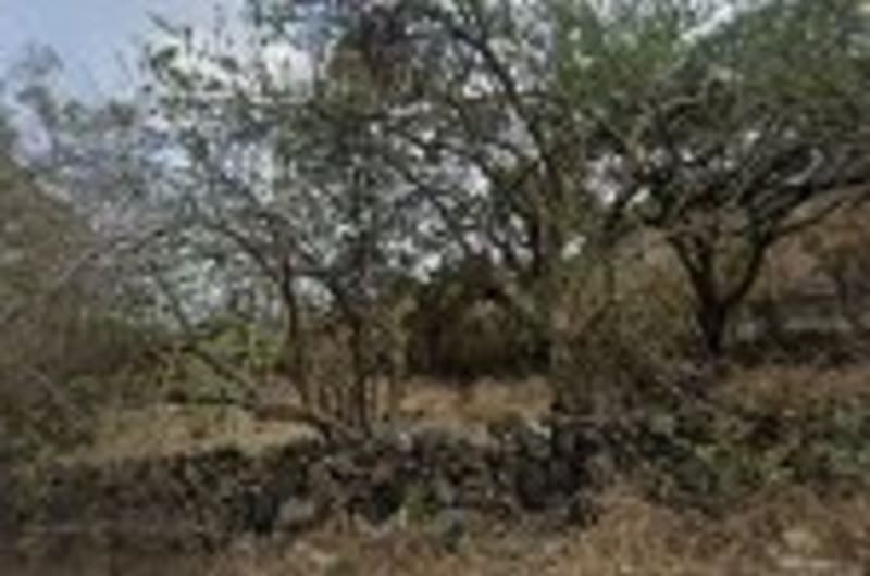 TOCHPOALOYA — photo 1