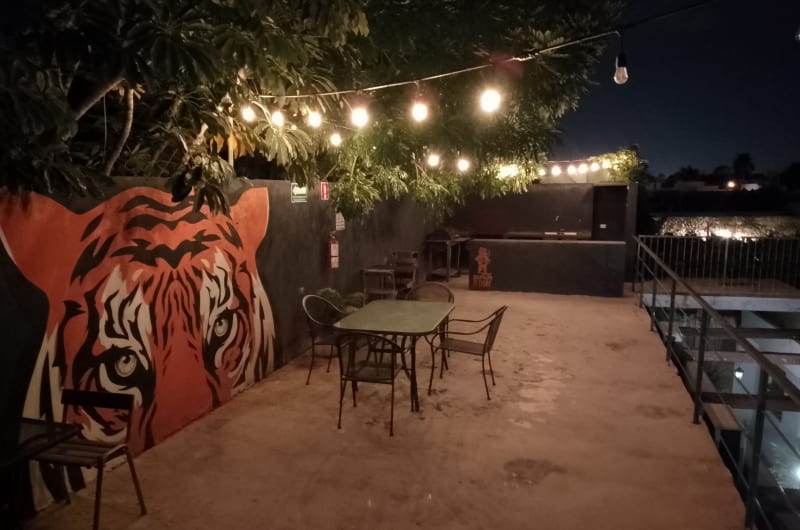 El Tigre de Santiago — photo 3