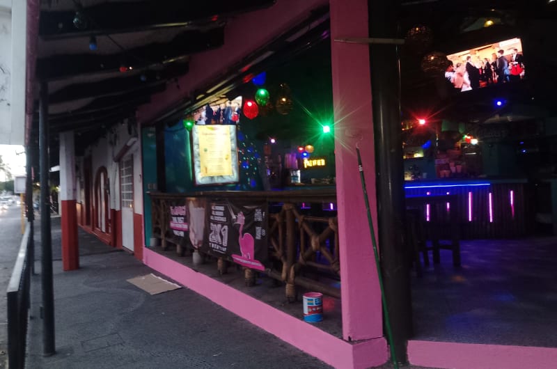 Mr. Flamingo — photo 3
