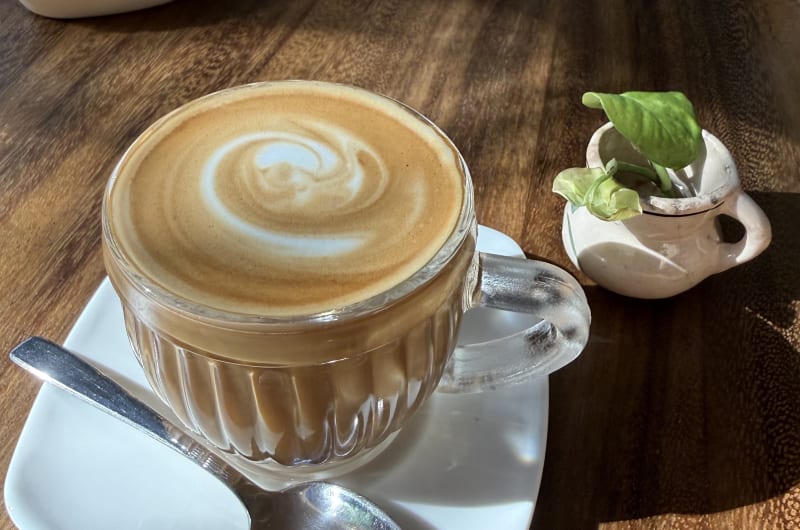 AguaMiel Café y Brunch — photo 3