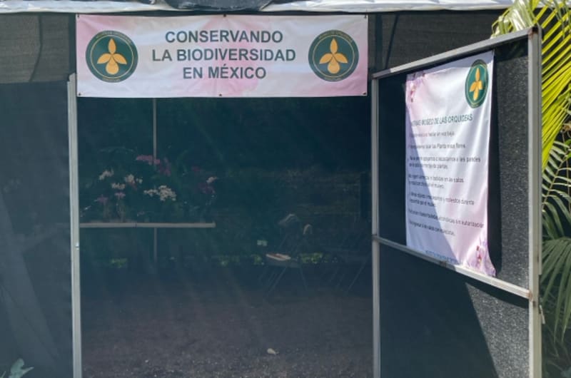 Museo de Orquídeas Tepoztlan — photo 1