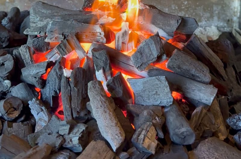 Fuego Bravo — photo 3