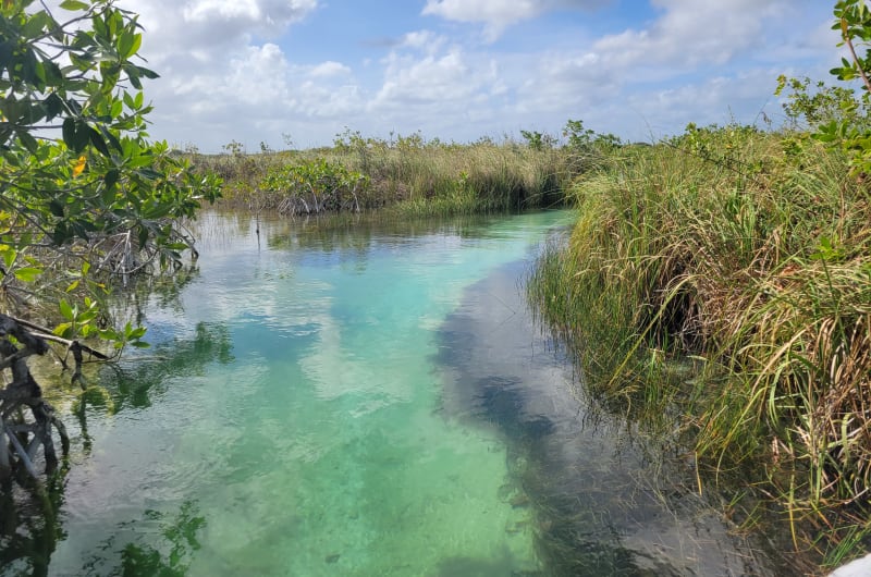 Laguna Tours Muyil — photo 1