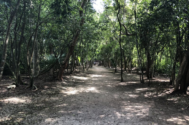 Coba Ruins Walking Tour — photo 3