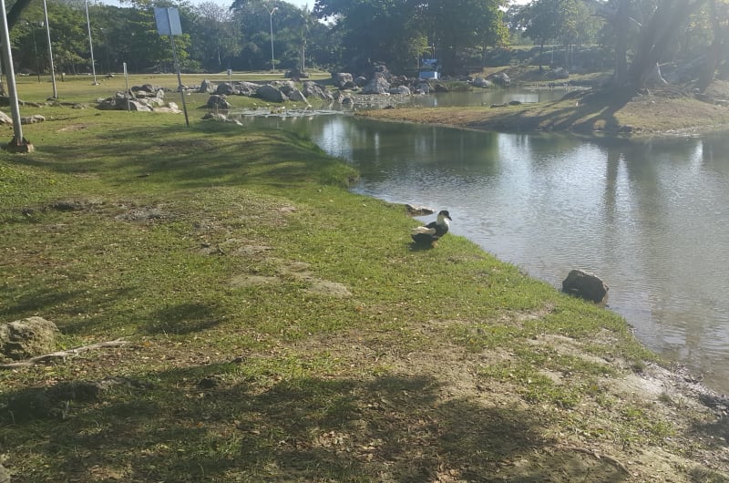 Lago Del Poniente — photo 3