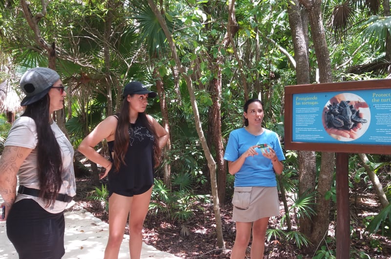 Campamento Tortugero Xel-Ha — photo 3