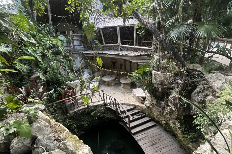 MOTMOT Restaurant, Coffee and cenote Bar — photo 3