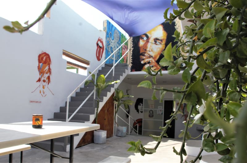 DayTripper Hostel — photo 3