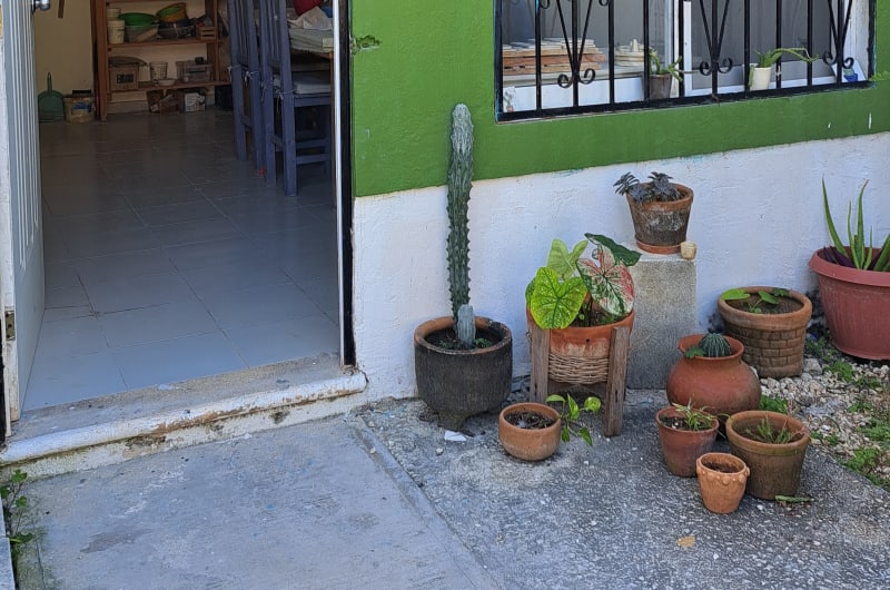 CACTUS Taller de cerámica — photo 1
