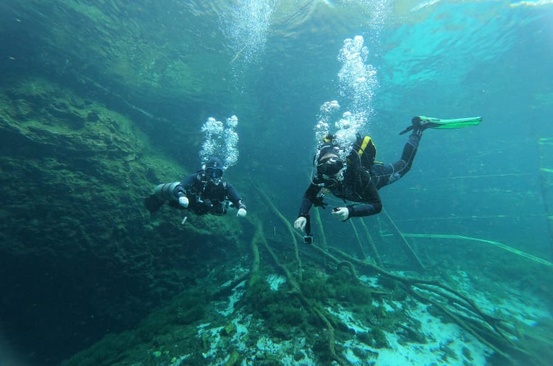 Go Dive Mexico — photo 1
