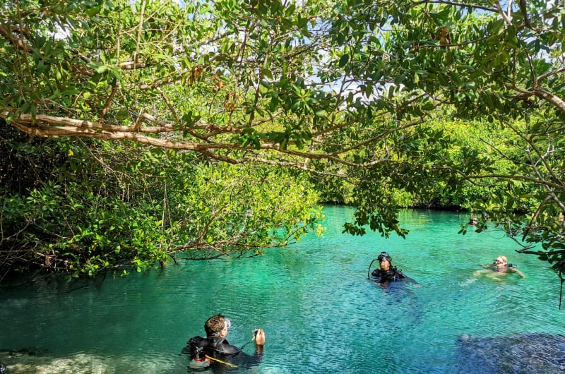 Tulum Diving Center — photo 2