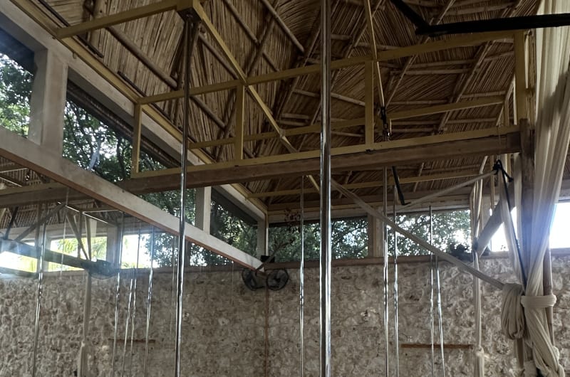 Estudio VIVO — photo 3