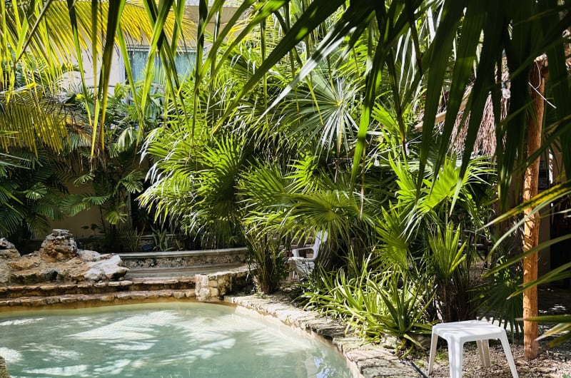 Maya Pool Care Tulum — photo 1