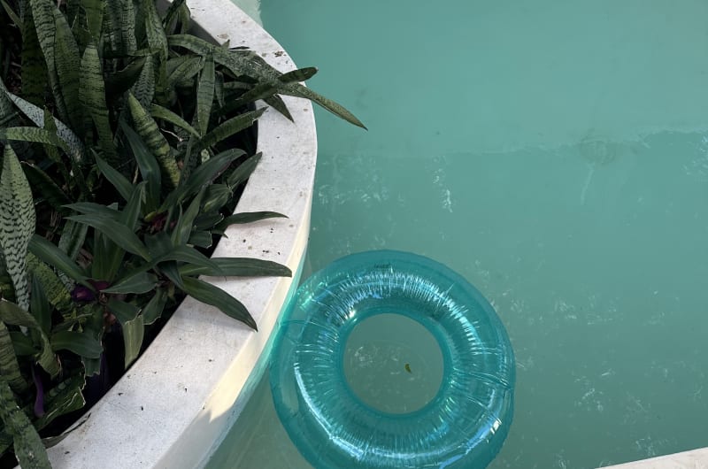 Maya Pool Care Tulum — photo 2