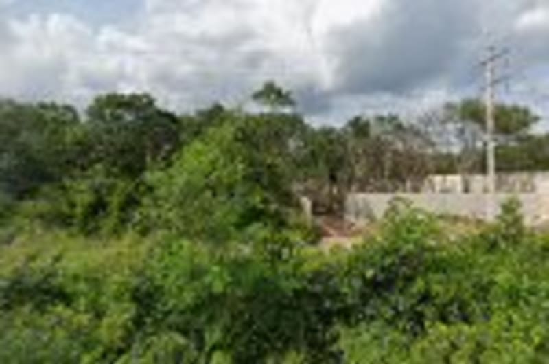 Maquinaria y Equipo Tulum — photo 1