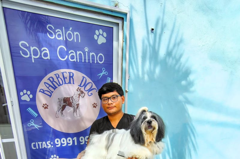 Barber Dog MID YUCATAN — photo 3