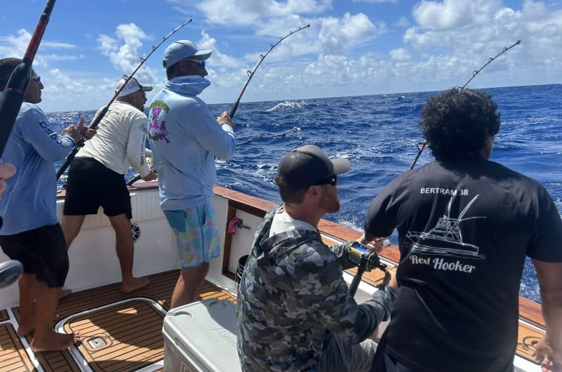 Tulum Sport Fishing — photo 2