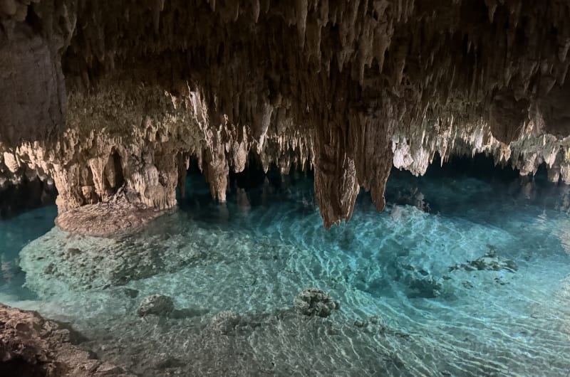 Akumal snorkel tortugas Cenotes y cavernas — photo 3