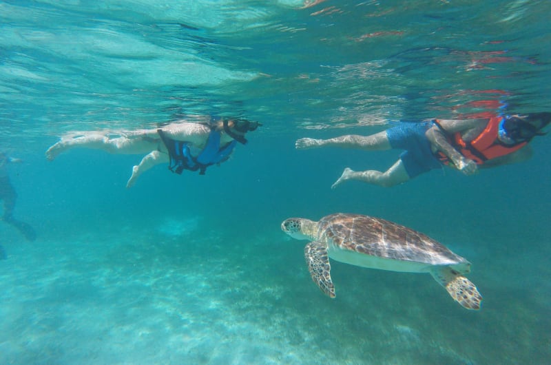 AKUMAL TURTLE BAY — photo 2